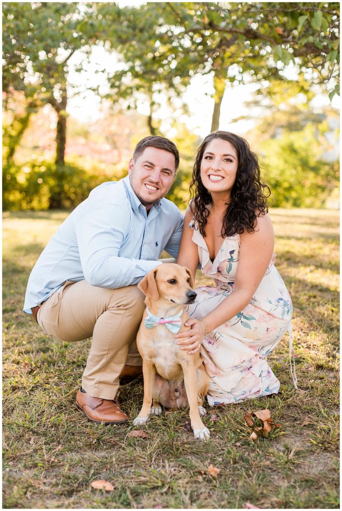 engagements with dogs