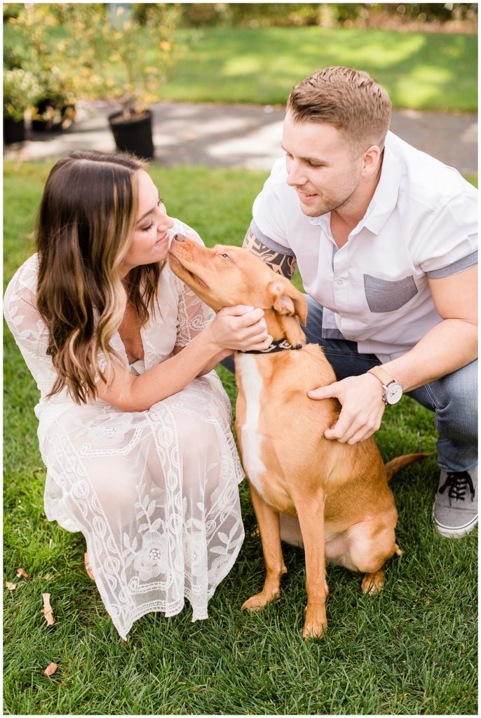 Engagements with Dogs