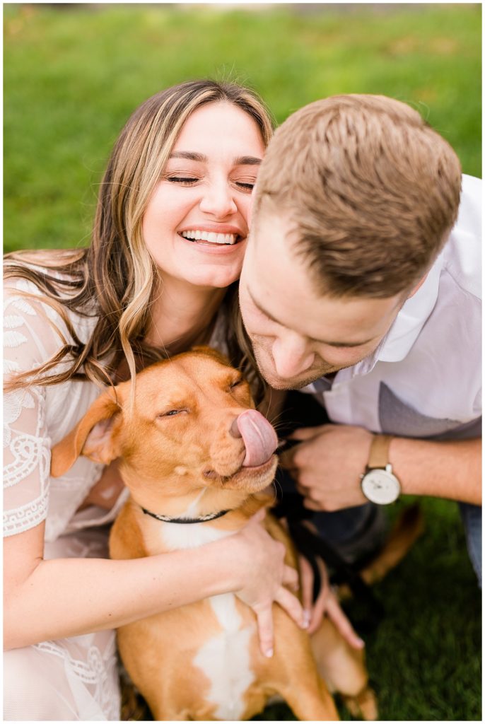 Engagements with Dogs