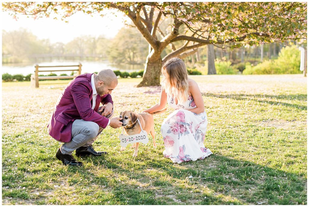 engagement photos at divine park