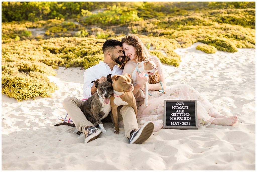 beach engagement with puppies