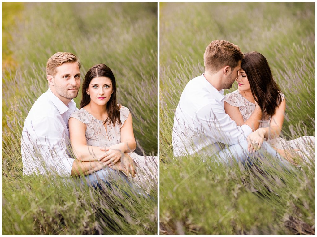 pleasant valley lavender engagement photos