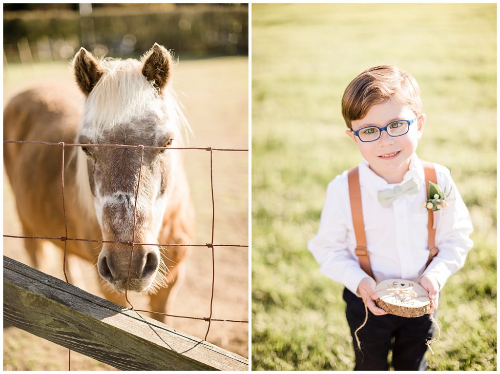 tented wedding nj photos