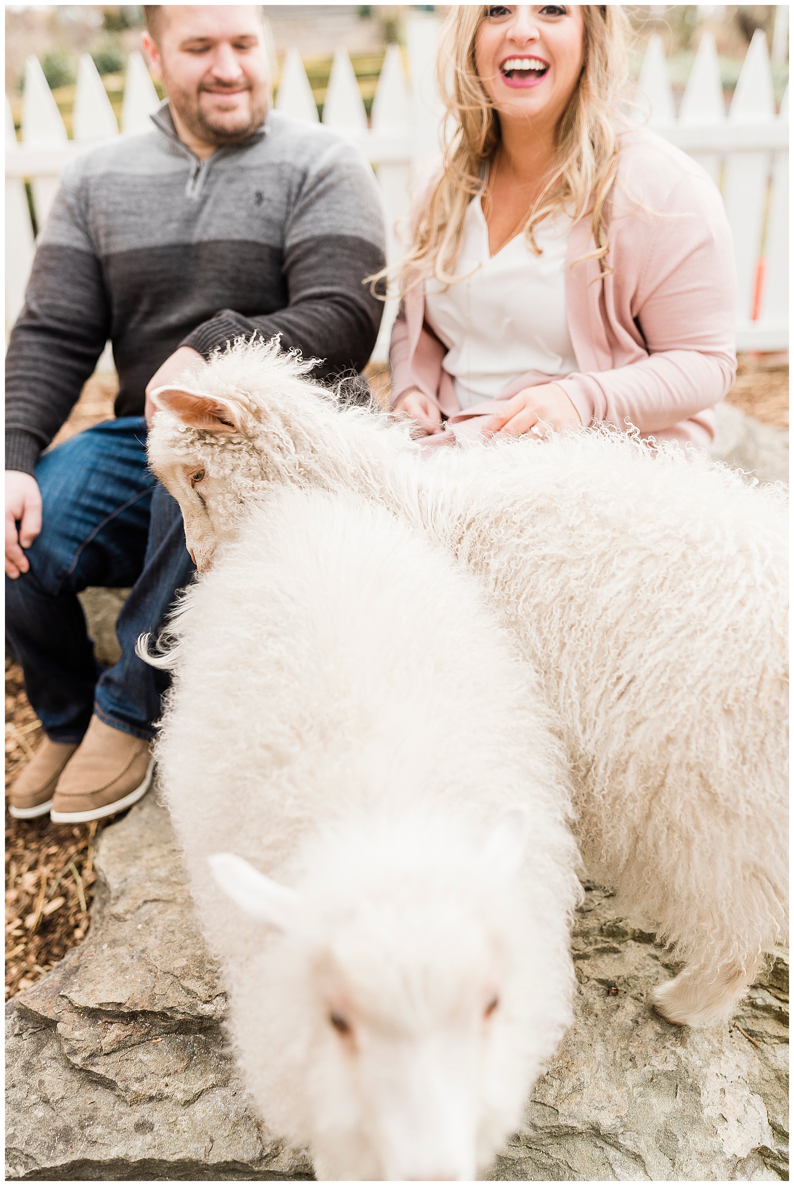 Engagement Photos with Goats